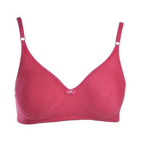 Padded Ladies Pink Nylon T Shirt Bra Size 32b At Rs 35piece In Surat Id 26260118730