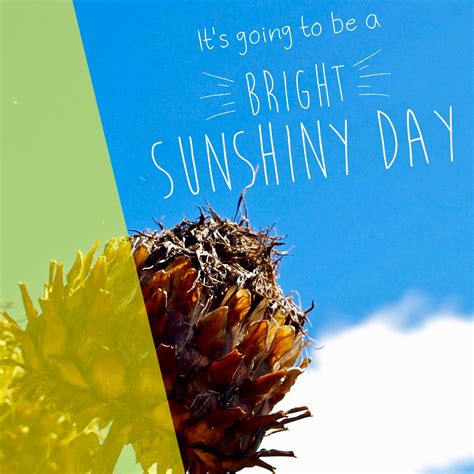 Lyrics To Bright Bright Sunshiny Day Videohive After Effects Pro