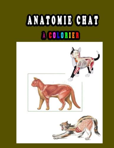 Anatomie Chat à Colorier Un moyen plus simple et meilleur d apprendre