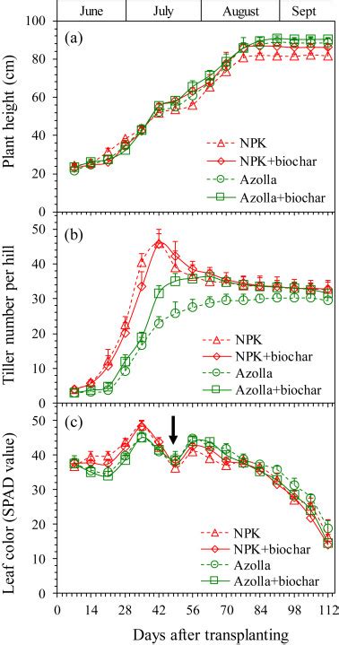 Co Application Of Poultry Litter Biochar With Azolla Has Synergistic