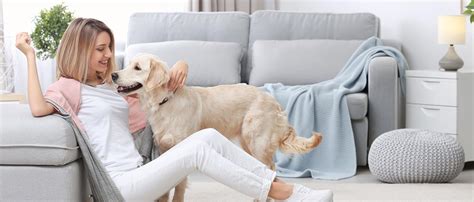 Amazon Nicebay Hair Dryer Brush Blow Dryer Brush In One Hot Air Brush Set For