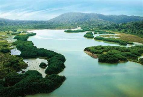 Tasik Chini Lake - Pahang Tourism