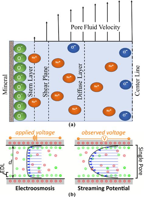 A Schematic Showing The Stern Diffuse And Bulk Electrolyte Layers On Download Scientific