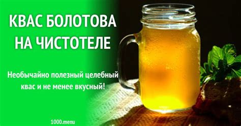 Квас Болотова на сыворотке и чистотеле с сахаром рецепт с фото