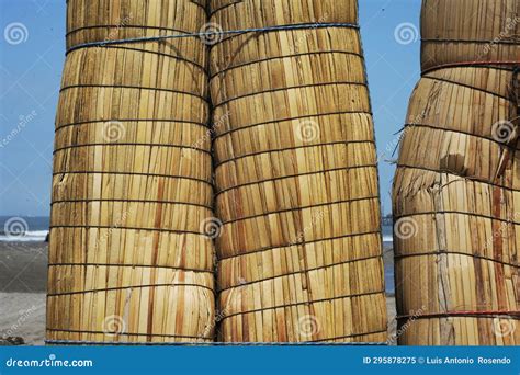 Traditional Peruvian Reed Boats Caballitos De Totora Straw Boats