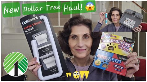 New Dollar Tree Haul Amazing New Finds Youtube