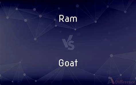 Ram vs. Goat — What’s the Difference?