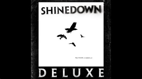 Shinedown - The Crow & The Butterfly - YouTube