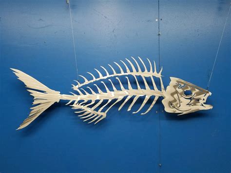 FishBone | Fish Sculptures & Designs