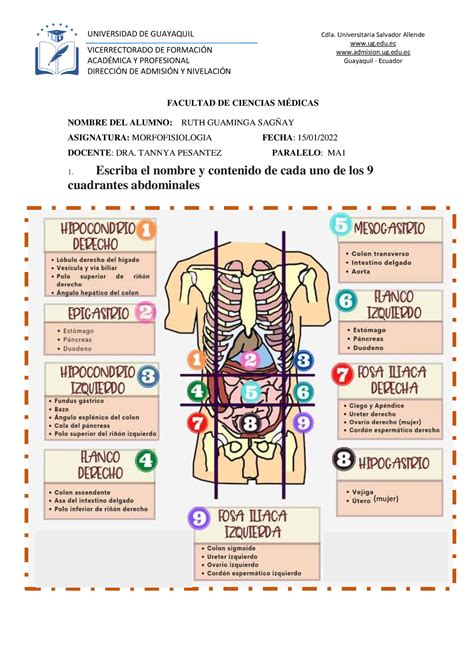 Morfo Curso VICERRECTORADO DE FORMACIN ACAD Y PROFESIONAL