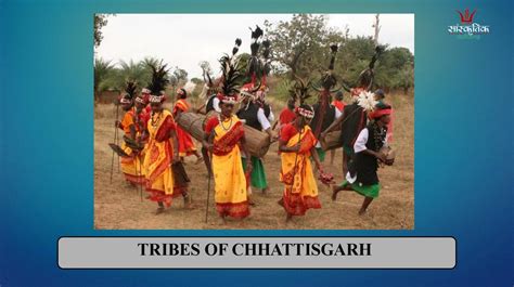 Tribes of chhattisgarh by Vikrant Sharma - Issuu