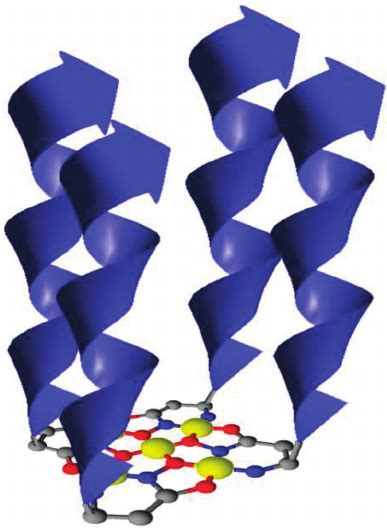 Schematic Representation Of The Supramolecular Structure With