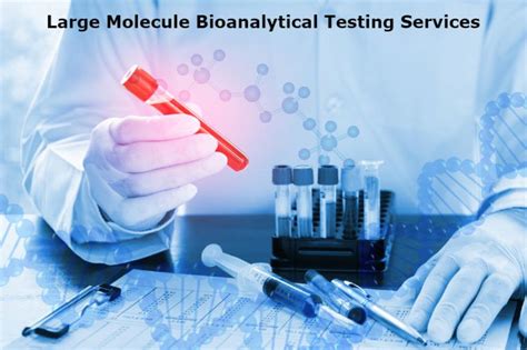 Large Molecule Bioanalytical Testing Services Market 2022 Cost