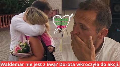 Rolnik Szuka Ony Waldemar Nie Jest Z Ew Dorota Wkroczy A Do Akcji