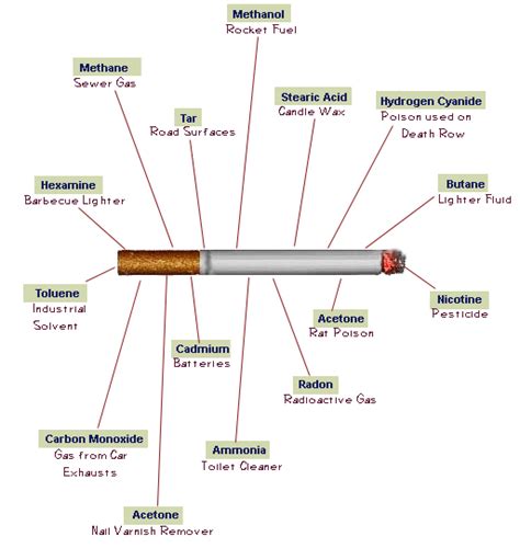 Smoking Ban Gcse Miscellaneous Marked By