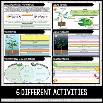 Photosynthesis And Cellular Respiration Activities Google Slides And