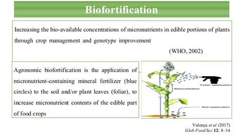 Agronomic Biofortification Of Crops With Zinc And Iron By Vajinder Pa