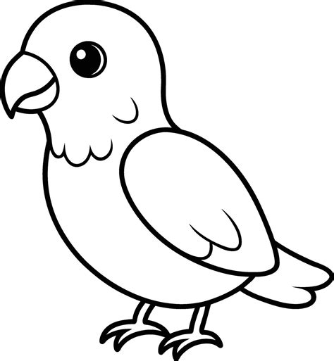 how do you parrot not moving for beginners 4