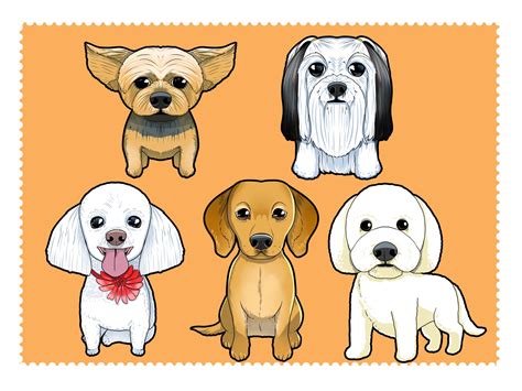 pets grooming services 10