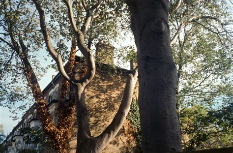 Kodak Ektachrome 100 Film Review - Parallax Photographic Coop