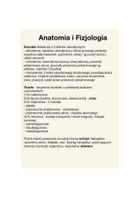 Anatomia I Fizjologia Cz Owieka Notatki Anatomia Cz Owieka Docsity