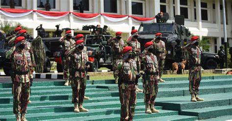 Dirgahayu Hut Tni 5 Oktober Urutan Sejarah Bkr Hingga Abri