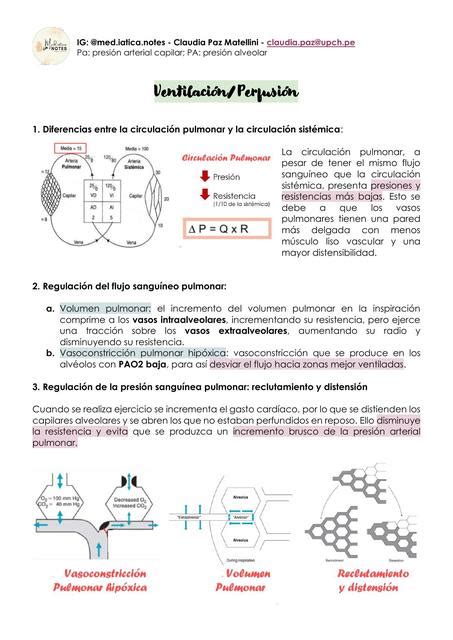 Res Menes De Relaci N Ventilaci N Perfusi N Descarga Apuntes De