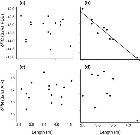 Relationships Between A Female Length And δ¹³c B Male Length And δ¹³c