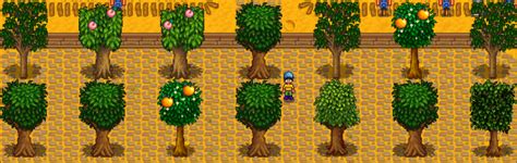 Stardew Valley Trees Guide To Grow Stardew Valley