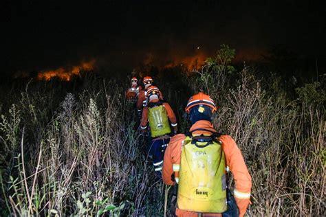 Fogo no Pantanal já ameaça cidades e MS decreta emergência Gigante 163