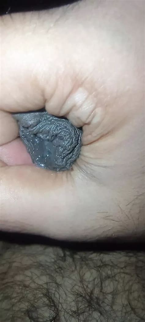 Vid Os Porno Gay Gratuites Grosse Bite Br Silienne Xhamster