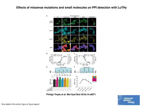 Effects Of Missense Mutations And Small Molecules On Ppi Detection With