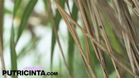 Hot Babe Amthai Stripping Naked On A Tropical Beach