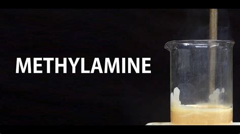 Methylamine: Properties, Synthesis, and Uses - Safrole