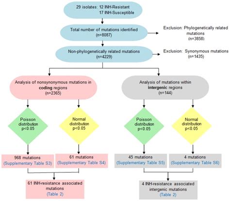 detecting  genetic variants   isoniazid resistant