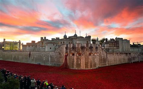 Armistice Day: Final poppy is placed at Tower of London as capital ...