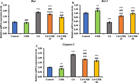 Effects Of Cd And CHR Administrations On Bax Bcl 2 And Caspase 3