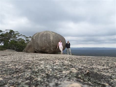 Bald Rock Summit Aussie Bushwalking