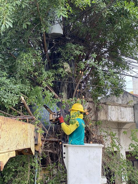 Look Ileco Iii Technical Team Conducted Clearing Of Lines In Poblacion