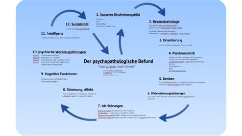 Psychopathologischer Befund Von Aussen Nach Innen By Ulrich Hofmann