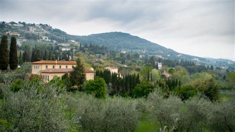 Fiesole Archive - about curiosity