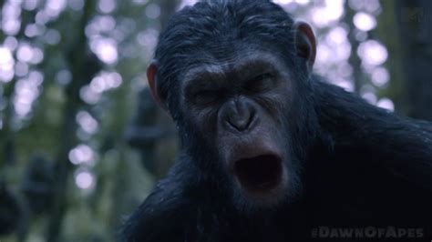 Caesar Speaks In The First Clip From Dawn Of The Planet Of The Apes