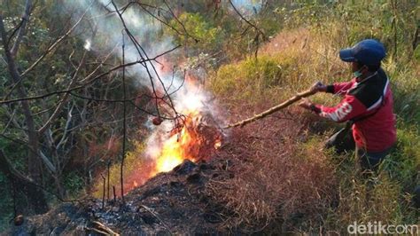 Kebakaran Masih Berkobar Di Hutan Gunung Sumbing