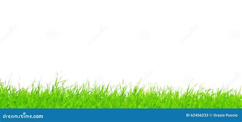 Strands Of Green Grass Stock Image Image Of Meadow Clean 62456233