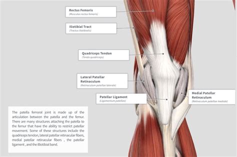 Patellofemoral Pain Syndrome — Physiou