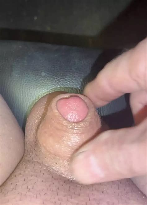 Cucumber Fuck Fest American Shemale Ladyboy Ladyboy Porn Xhamster