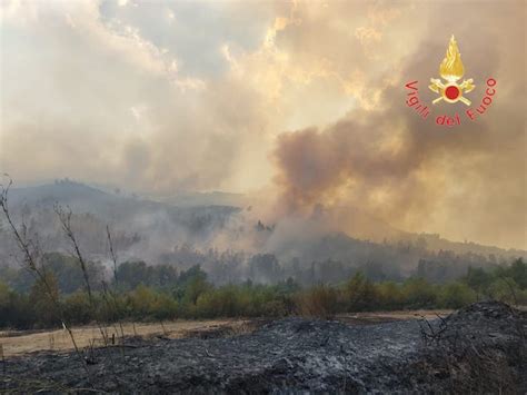 Vasto Incendio Di Vegetazione Nel Crotonese Vigili Del Fuoco A Lavoro