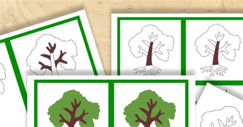 Free Montessori Printable Parts Of A Tree Trillium Montessori