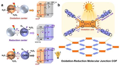兰亚乾教授课题组angew Chem：氧化还原分子结共价有机框架用于全反应光合成过氧化氢 X Mol资讯