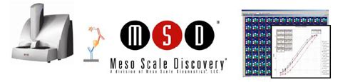 [Licensees’ only event] Meso Scale Discovery Lunch-N-Learn | JLABS